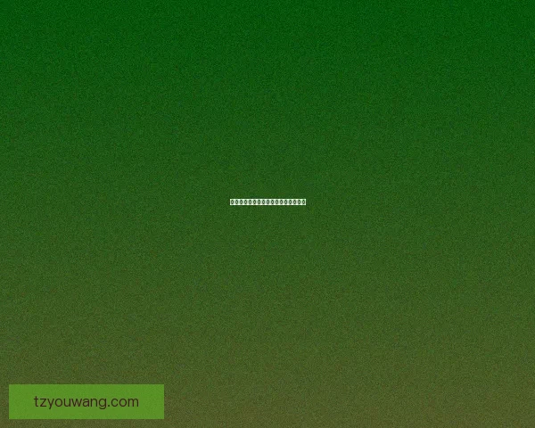 光芒石的神秘魅力与文化传承探索揭秘